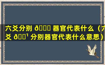 六爻分别 🐘 器官代表什么（六爻 🌹 分别器官代表什么意思）